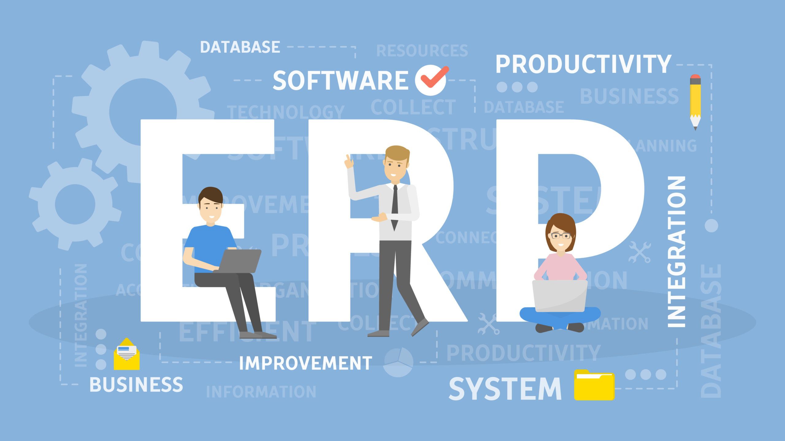 Custom ERP Solutions